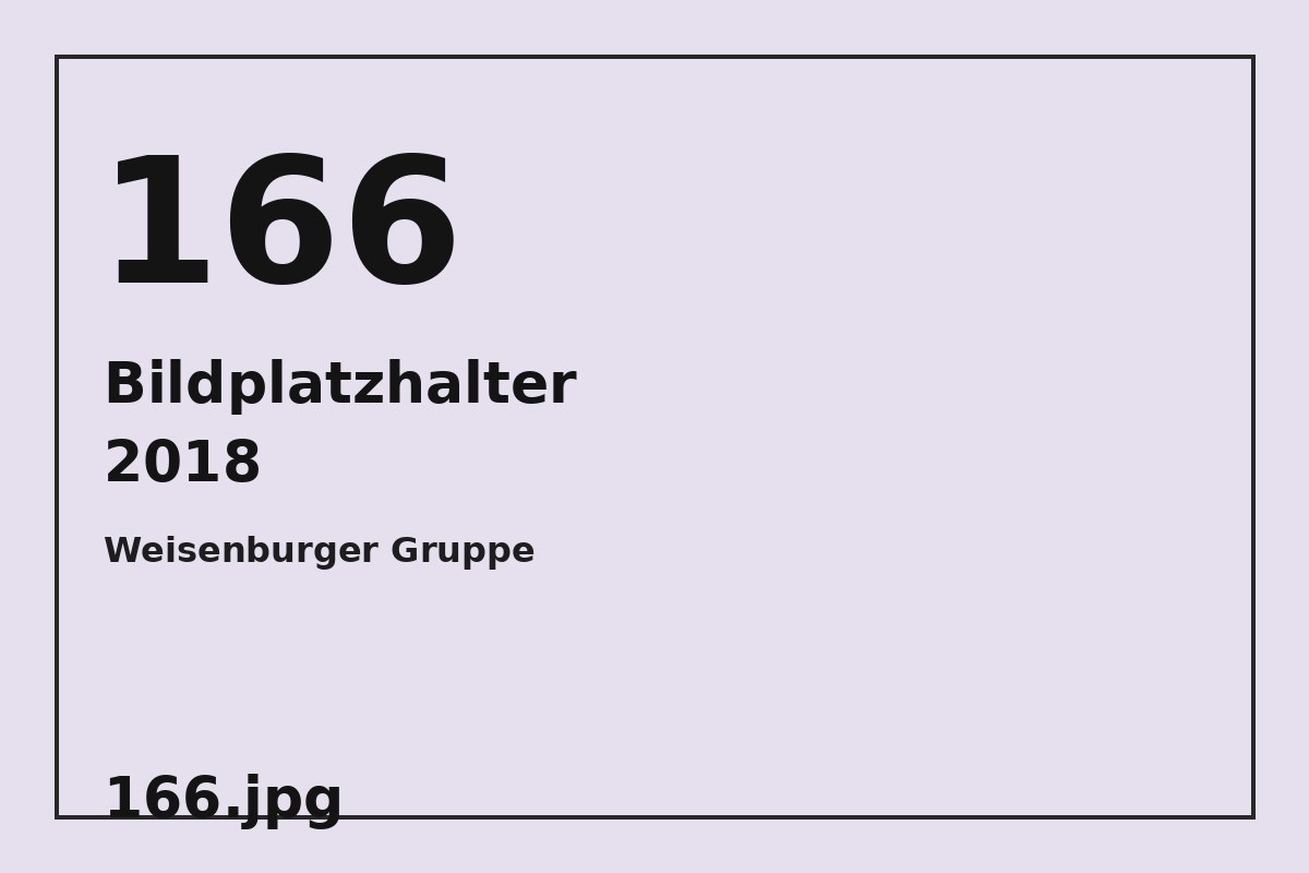 Bildplatzhalter 166.jpg für Weisenburger Gruppe