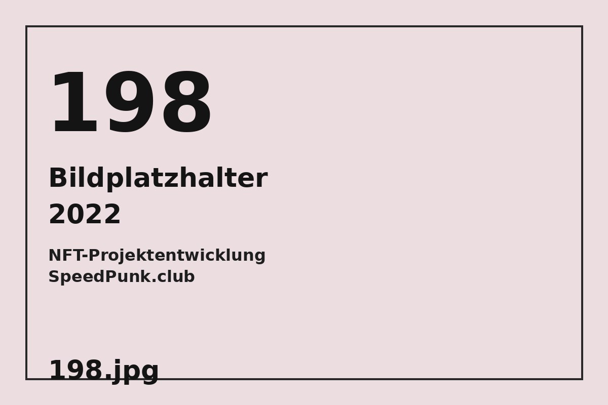 Bildplatzhalter 198.jpg für NFT-Projektentwicklung SpeedPunk.club